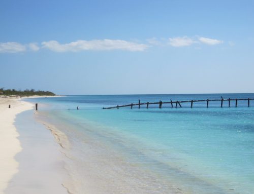 Have you prepared for your Second Life?