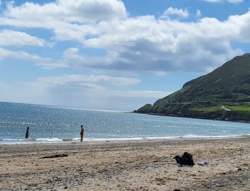 June 2023 Newsletter- Irish Banks have all the Power Right Now