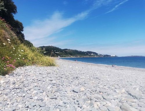 August Newsletter- Mitigating Against Inheritance Tax