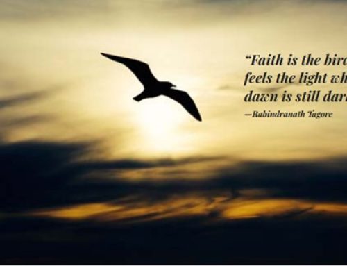 January 2024 Newsletter- Investing